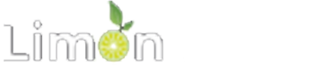 Limon Bilisim Web Tasarım